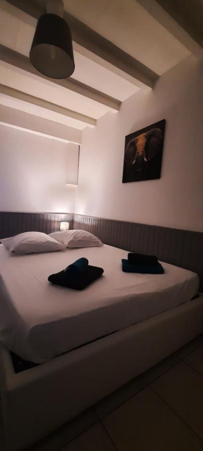 Le Telly-Centre Ville-Petits Prix-Ideal Pour Rayonner Sur La Ville Carcassonne Exteriér fotografie